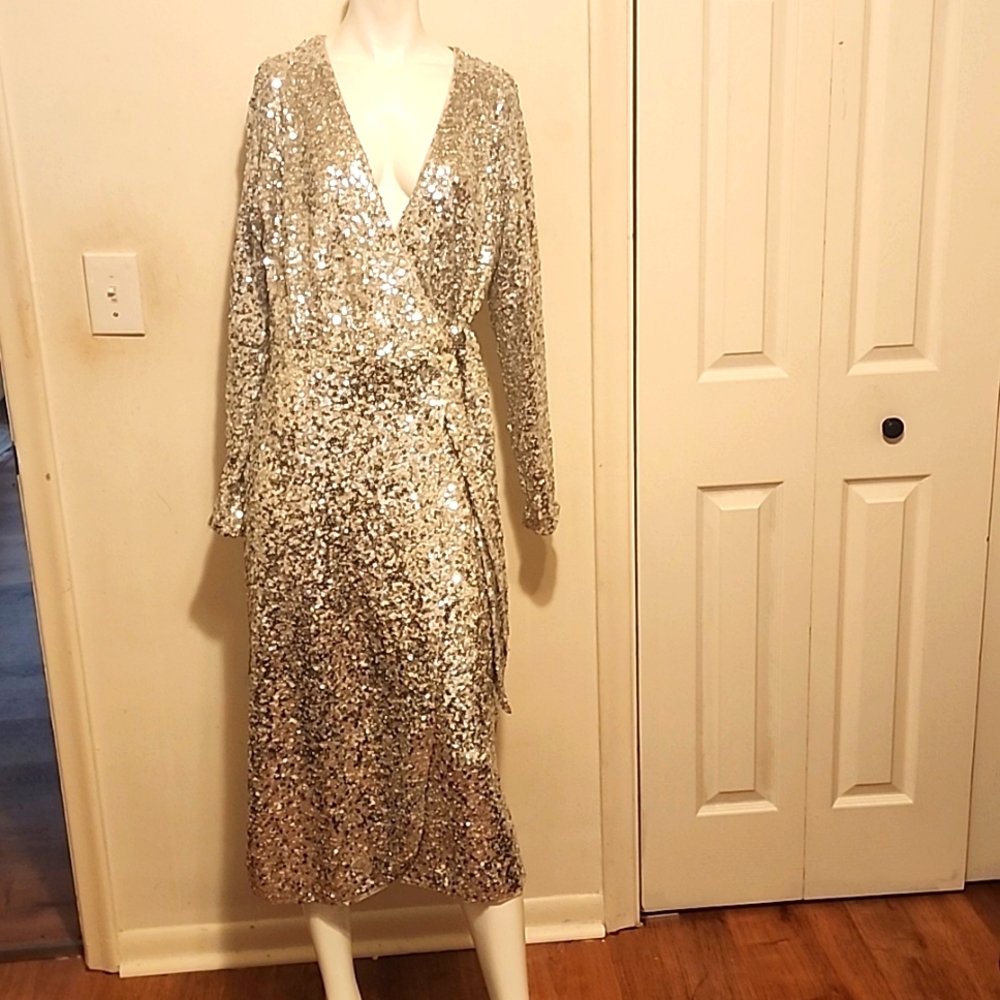 Nwt H and M sequin dress